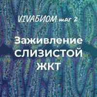 Vivabiom шаг 2: Заживление слизистой ЖКТ