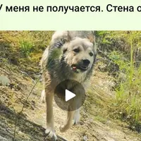 У меня не получится. Стена ожидания