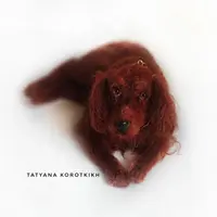 МК Кивающий пёс