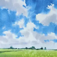 Озимое поле