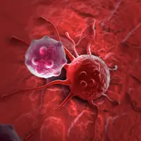 Больные клетки: основы биологии рака