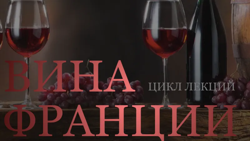 Вина Франции