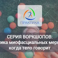 Психосоматика миофасциальных меридианов: Линии рук