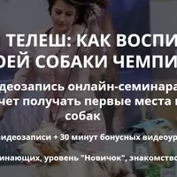 От щенка до чемпиона