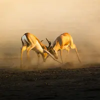 Работа с пассивно-агрессивными клиентами в модальности транзактный анализ