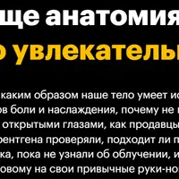 Анатомия: как устроено наше тело