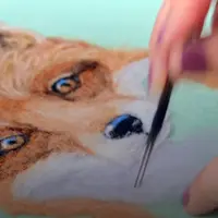 Портреты животных. Рисование шерстью