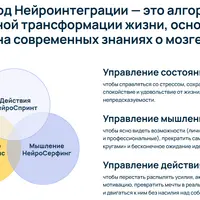 Neurointegration Fundamentals (NIF)
