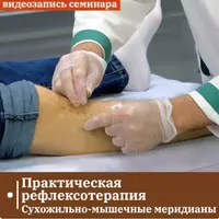 Практическая рефлексотерапия. Сухожильно-мышечные меридианы