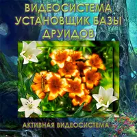 Установщик базы данных Друидов