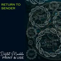 DM: Вернуть отправителю