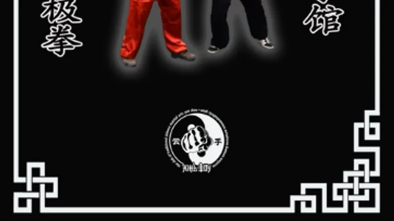 Боевые применения юнфа 18-ти форм Чэнь ши тайцзицюань