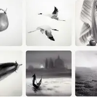 Звучание чёрного