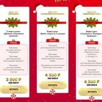 Новогодний Бокс – Все Включено. Денежная сексуальность