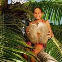 Курьёзы флоры и фауны. Кокосовый орех и страусовое яйцо, зуб нарвала и коралл