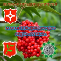 Орден Бузина