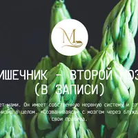 Кишечник - второй мозг