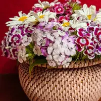 Горшочек + крышечка