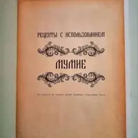 Брошюра рецептов Мумие