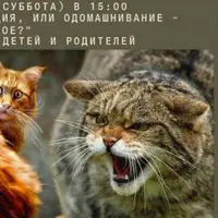 Доместикация, или одомашнивание — что это такое?