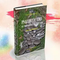 Руководство по выращиванию вёшенок