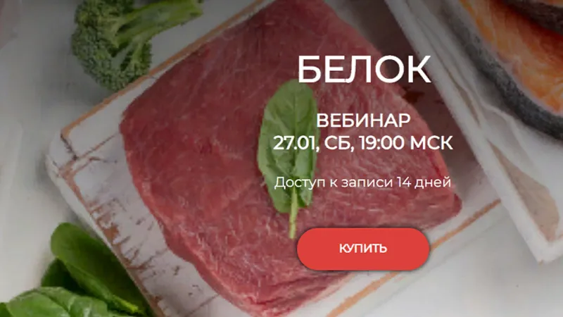 Белок