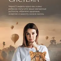 Focus-система