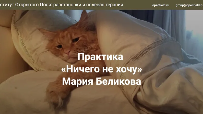 Ничего не хочу