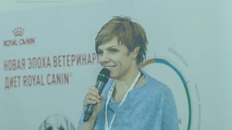 Системный интернет-маркетинг