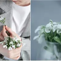 Подснежник