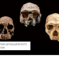 Американоидная раса