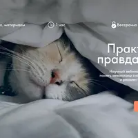 Практика и правда о сне