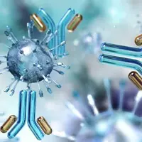 На переднем крае иммунологии. Т-хелперы - дирижеры иммунного ответа