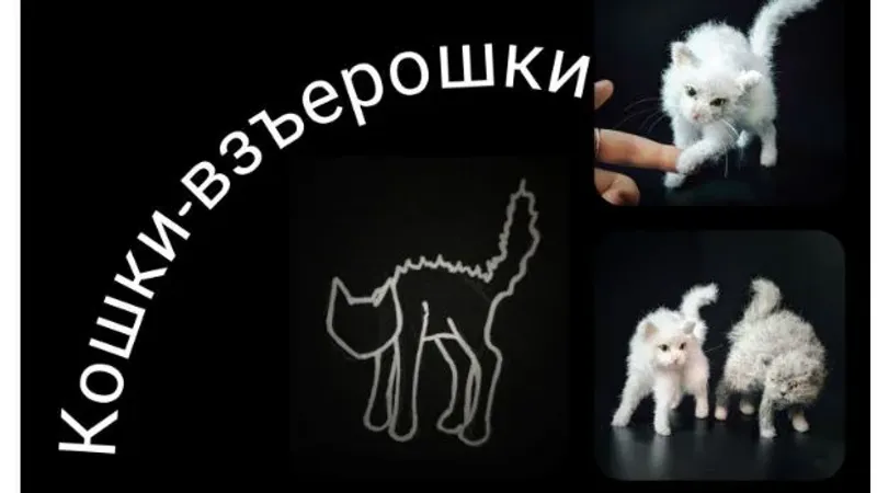 Кошки-взъерошки
