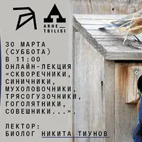 Скворечники, синичники, мухоловочники, трясогузочники, гоголятники, совешники