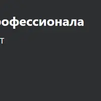 Chat GPT от новичка до профессионала