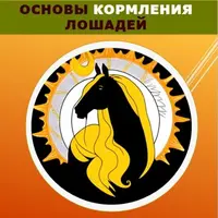 Основы кормления лошадей