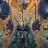 Дизайн витрин