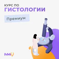 Курс по гистологии
