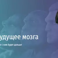 Прошлое и будущее мозга. Как у человека появился разум и что с ним будет дальше