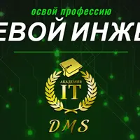 Сетевой инженер