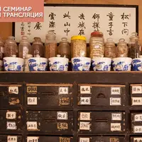 Введение в традиционную китайскую медицину