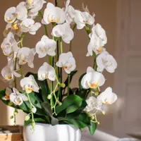 Королевская орхидея из холодного фарфора