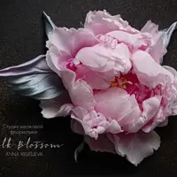 Пион из шелка "Розовый зефир"