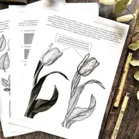 Рабочая тетрадь по ботанической графике линером