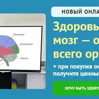 Здоровый головной мозг — основа здоровья всего организма