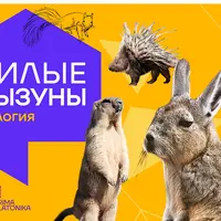 Милые грызуны