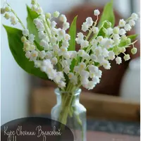 Нежная весна