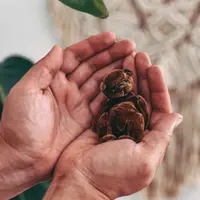 Мишка Малышка