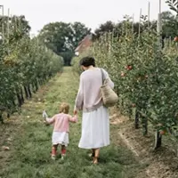 Кулинарный клуб Lu pastry Cuisine